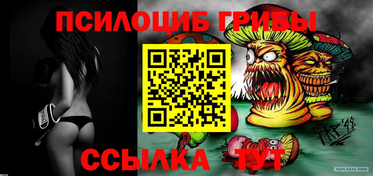 Псилоцибиновые грибы MAGIC MUSHROOMS Кинель